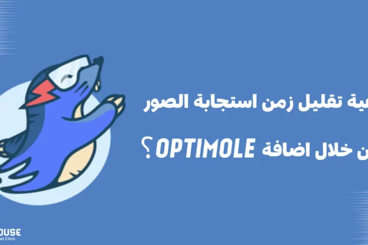 كيفية تقليل زمن استجابة الصور من خلال إضافة Optimole؟