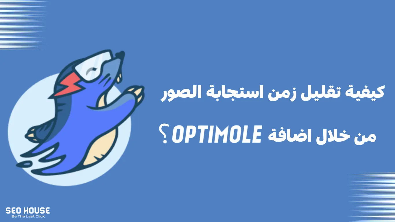 كيفية تقليل زمن استجابة الصور من خلال إضافة Optimole؟